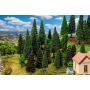 Faller - 30 Mixed forest trees, assorted