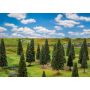 Faller - 25 Firs, small, assorted