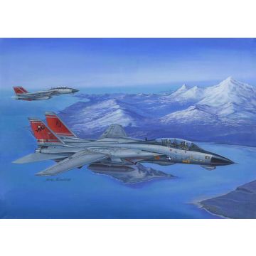 Hobbyboss - 1/48 F-14d Super Tomcat - Hbs80368
