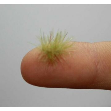 JoeFix - SPRING COLOURED GRASS TUFTS