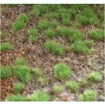 JoeFix - SCENERY GRASS MAT STEPPE SPRING 297x210MM