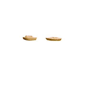 Plastruct - 1/600 SAIL BOAT L STY. WH. 2.0x4.8x14.7MM 5X BT-600B