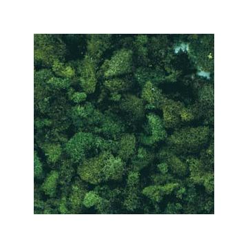 Plastruct - GROUND FOAM CONIFER GREEN COARSE 20 GR. FOAM-303