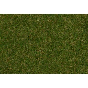 Faller - Strooimateriaal Wildgras Zomerweide 4mm 1kg (9/21) *fa170257