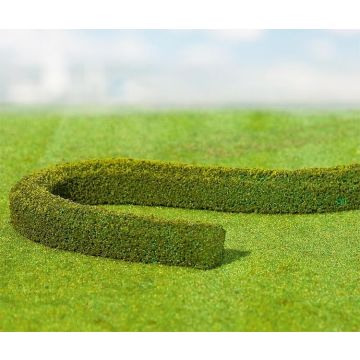 Faller - 2 PREMIUM Decorative hedges/European hornbeams