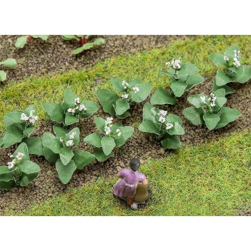 Faller - 14 Tobacco plants