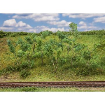 Faller - Trees and shrubs for the edge of the forest