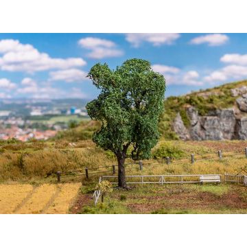 Faller - 1/87 Boom Echte Acacia (11/21) *fa181704