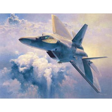 Hasegawa -