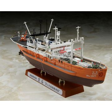 Hasegawa -